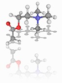 Acetylcholine organic compound molecule