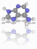 Adenine organic compound molecule