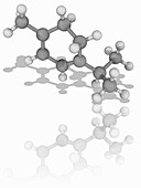 Alpha-Terpinene organic compound molecule
