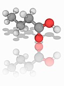 Butyric acid organic compound molecule