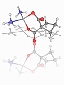 Carboplatin drug molecule