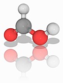 Formic acid organic compound molecule