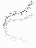 Lycopene organic compound molecule