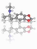 MDMA (ecstasy) drug molecule