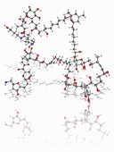 Palytoxin poison molecule