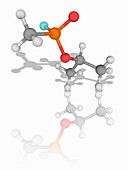 Sarin organic compound