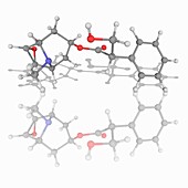 Scopolamine drug molecule