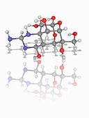 Tetrodotoxin (TTX) neurotoxin molecule