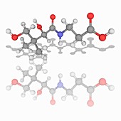 Vitamin B5 (pantothenic acid) molecule