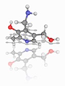 Vitamin B6 (pyridoxamine) molecule