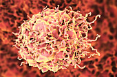 Colon cancer cell, illustration