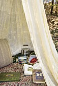 Mosquito net, food, books and watercolour painting box