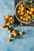 Clementines with leaves in a bowl
