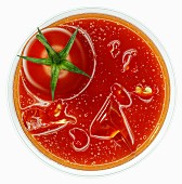 Blick von Oben in ein Glas Bloody Mary mit Eis und Tomate