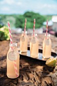 Lemon-Melon-Drop Cocktail in Flaschen mit rosa gestreiften Strohhalmen