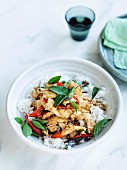 Chicken stir-fried with holy basil and chilli