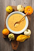 Pumpkin cream soup and ornamental gourds on a wooden board