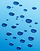 Water droplets