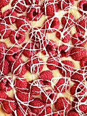 Raspberry tarte (close-up)