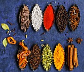 Cardamom, Star anise, Peppers, Bay Leaf, Cinnamon, Clove, Mace and Black Cardamom on a rustic background