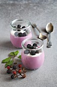 Blackberry panna cotta dessert in jars