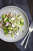 Farro salad with feta, cucumber, radish and dill, on a white plate