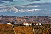 Blick über La Morra auf den Mont Viso, Piemont, Italien