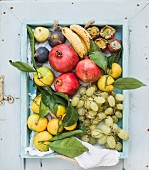 Various colorful tropical fruit selection in blue wooden tray