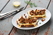 Chanterelle sandwiches with cheese