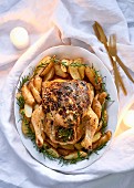 Chicken with feta, herbs, a cranberry filling and potatoes