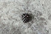 Blackberry on a grey metal surface
