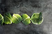 Savoy cabbage and row of cabbage leaves on a grey stone surface