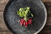 Bunch of radishes ties with string on a grey metal tray on a wooden table