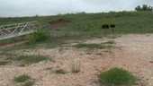 Reservoir in drought, Texas