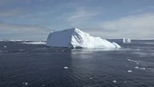 Icebergs off Antarctica