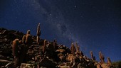Star trails over desert, time-lapse