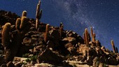 Milky Way over desert, timelapse