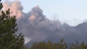 Ash from eruption of Sakurajima volcano