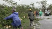 People clearing road after hurricane, Philippines