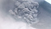 Pyroclastic flow from Sinabung volcano