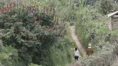 Farmers on track, Indonesia