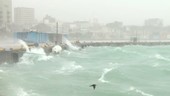 Storm waves in harbour, Japan