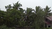 Typhoon, Philippines