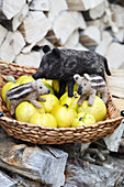 Hand-made, needle-felted, woollen wild boar in basket of quinces