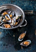 Raw washed mussels in colander