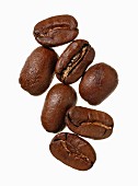 Maragogype Arabica coffee beans, Guatemala