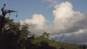 Clouds over rainforest, Ecuador