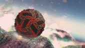 Zika virus, animation