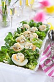 Hartgekochte Eier mit Kaviar, Blauschimmelkäse und Feldsalat zu Ostern