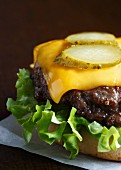 Grilled beef burger on a white bun with curly lettuce, melted cheddar cheese and slices of gherkin